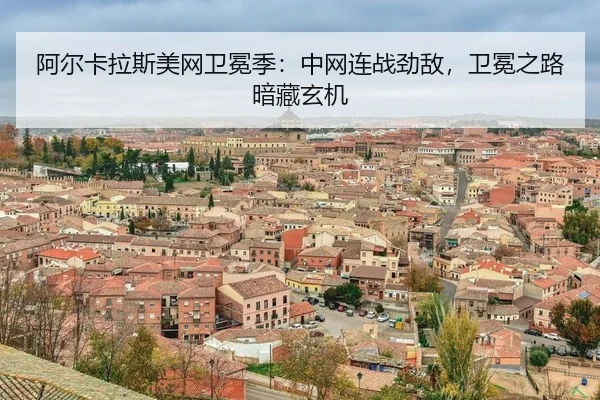 a-er-ka-la-si-mei-wang-wei-mian-ji-zhong-wang-lian-zhan-jing-di-wei-mian-zhi-lu-an-cang-xuan-ji-3-667.jpg