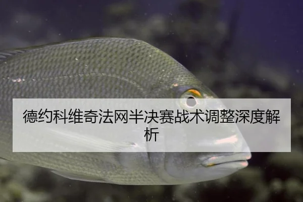 德约科维奇法网半决赛战术调整深度解析