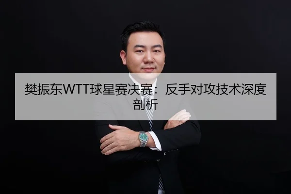樊振东WTT球星赛决赛：反手对攻技术深度剖析