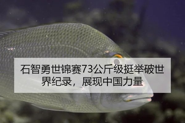石智勇世锦赛73公斤级挺举破世界纪录，展现中国力量