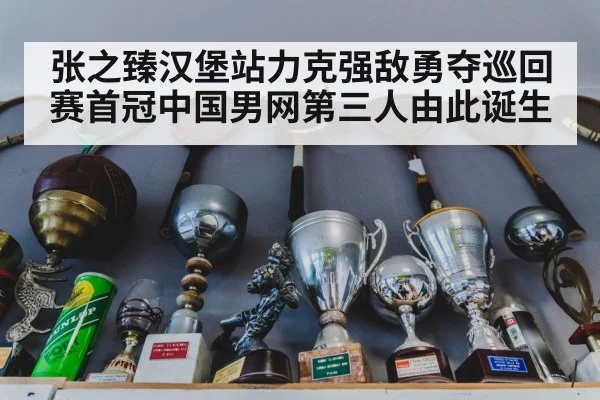 张之臻汉堡站力克强敌勇夺巡回赛首冠中国男网第三人由此诞生