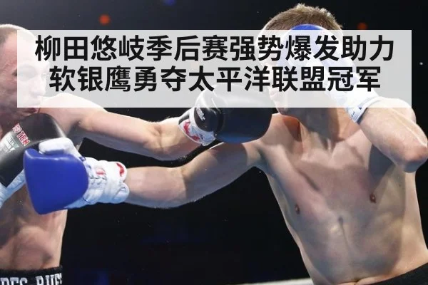 柳田悠岐季后赛强势爆发助力软银鹰勇夺太平洋联盟冠军