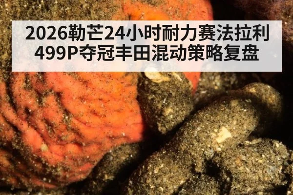 2026勒芒24小时耐力赛法拉利499P夺冠丰田混动策略复盘